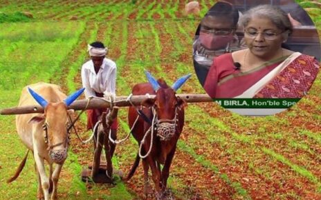अर्थसंकल्प २०२१-२२: शेतकऱ्यांच्या शेतमालाला दीडपट हमीभाव देण्यासाठी सरकार प्रयत्नशील