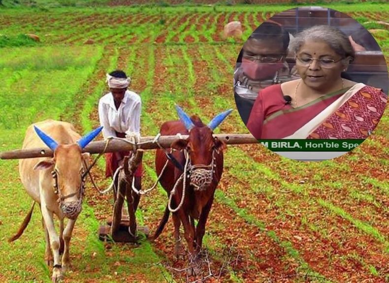 अर्थसंकल्प २०२१-२२: शेतकऱ्यांच्या शेतमालाला दीडपट हमीभाव देण्यासाठी सरकार प्रयत्नशील
